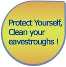 window cleaning ottawa  services + eavestrough cleaning ottawa, new view